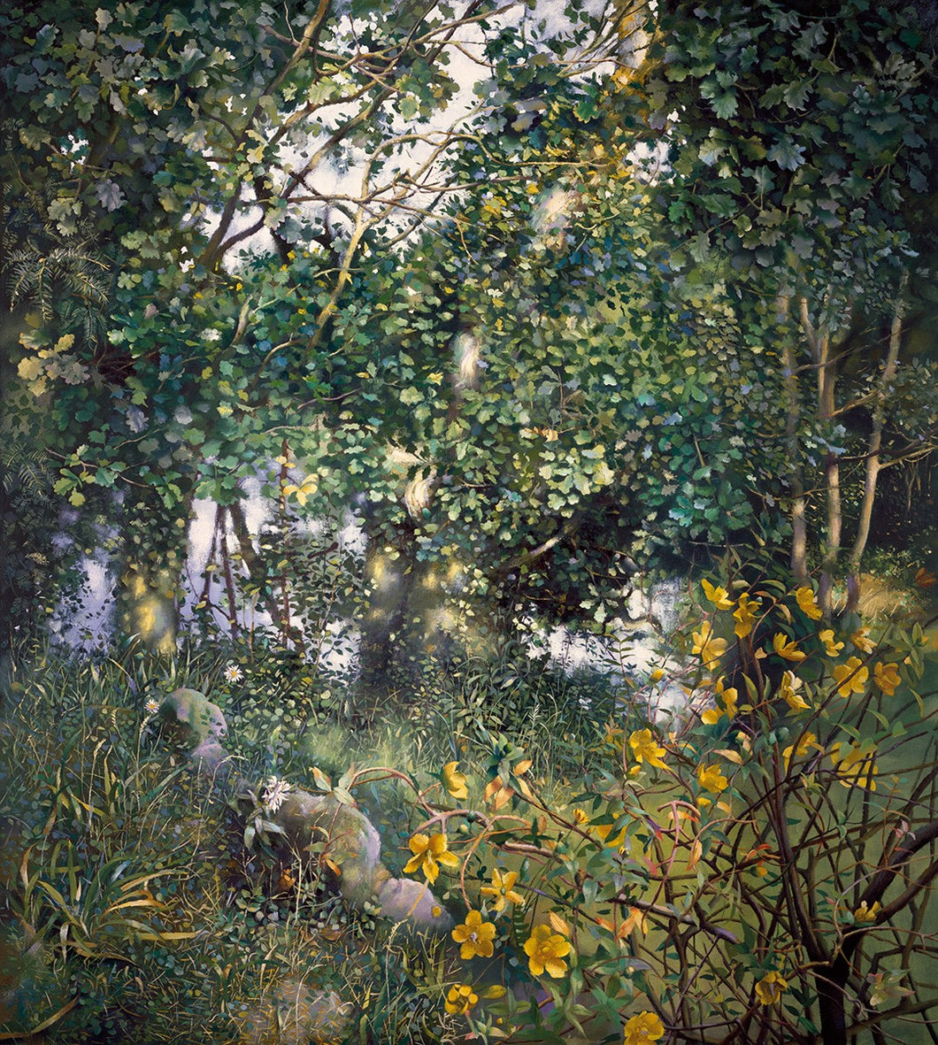 The Painter's Garden with St John's Wort. 1995