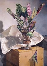 Load image into Gallery viewer, Still-Life (Prayer Plant). 1981